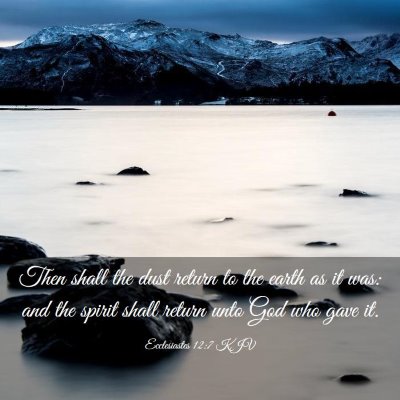 Picture 03 - Ecclesiastes 12:7 KJV - Then shall the dust return to the earth as it - Bible Verse Picture