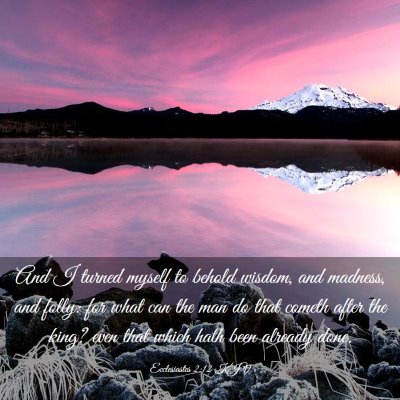 Picture 03 - Ecclesiastes 2:12 KJV - And I turned myself to behold wisdom, and - Bible Verse Picture