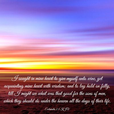 Picture 03 - Ecclesiastes 2:3 KJV - I sought in mine heart to give myself unto wine, - Bible Verse Picture