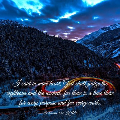 Picture 03 - Ecclesiastes 3:17 KJV - I said in mine heart, God shall judge the - Bible Verse Picture