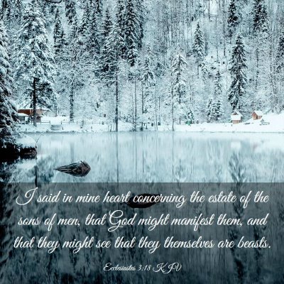 Picture 03 - Ecclesiastes 3:18 KJV - I said in mine heart concerning the estate of the - Bible Verse Picture