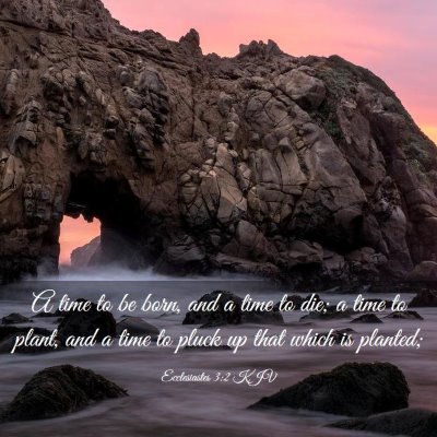 Picture 03 - Ecclesiastes 3:2 KJV - A time to be born, and a time to die; a time to - Bible Verse Picture