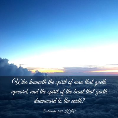 Picture 03 - Ecclesiastes 3:21 KJV - Who knoweth the spirit of man that goeth upward, - Bible Verse Picture