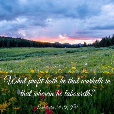 Picture 03 - Ecclesiastes 3:9 KJV - What profit hath he that worketh in that wherein - Bible Verse Picture