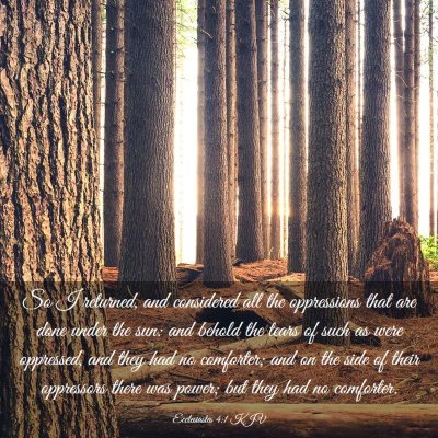 Picture 03 - Ecclesiastes 4:1 KJV - So I returned, and considered all the oppressions - Bible Verse Picture