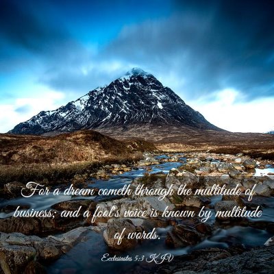 Picture 03 - Ecclesiastes 5:3 KJV - For a dream cometh through the multitude of - Bible Verse Picture