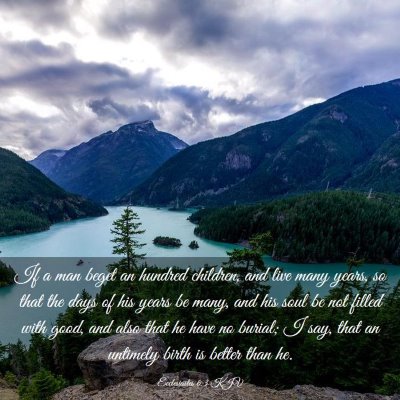 Picture 03 - Ecclesiastes 6:3 KJV - If a man beget an hundred children, and live many - Bible Verse Picture