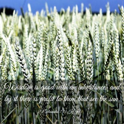 Picture 03 - Ecclesiastes 7:11 KJV - Wisdom is good with an inheritance: and by it - Bible Verse Picture