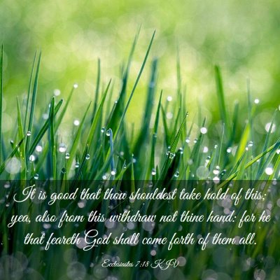 Picture 03 - Ecclesiastes 7:18 KJV - It is good that thou shouldest take hold of this; - Bible Verse Picture