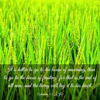 Picture 03 - Ecclesiastes 7:2 KJV - It is better to go to the house of mourning, than - Bible Verse Picture