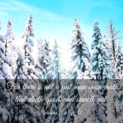 Picture 03 - Ecclesiastes 7:20 KJV - For there is not a just man upon earth, that - Bible Verse Picture
