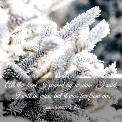 Picture 03 - Ecclesiastes 7:23 KJV - All this have I proved by wisdom: I said, I will - Bible Verse Picture