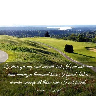 Picture 03 - Ecclesiastes 7:28 KJV - Which yet my soul seeketh, but I find not: one - Bible Verse Picture