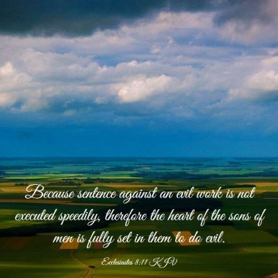 Picture 03 - Ecclesiastes 8:11 KJV - Because sentence against an evil work is not - Bible Verse Picture
