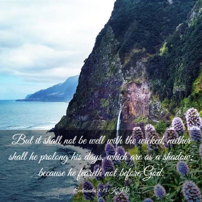 Picture 03 - Ecclesiastes 8:13 KJV - But it shall not be well with the wicked, neither - Bible Verse Picture