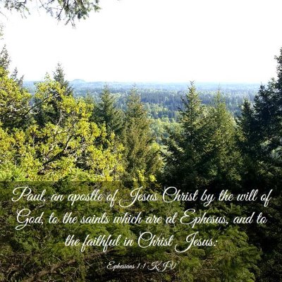 Picture 03 - Ephesians 1:1 KJV - Paul, an apostle of Jesus Christ by the will of - Bible Verse Picture