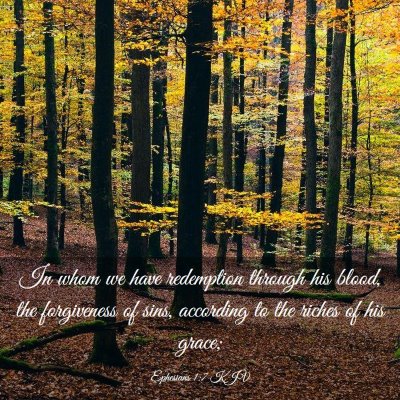 Picture 03 - Ephesians 1:7 KJV - In whom we have redemption through his blood, the - Bible Verse Picture