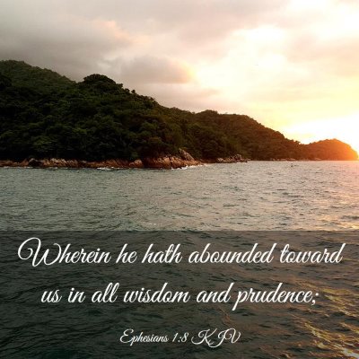 Picture 03 - Ephesians 1:8 KJV - Wherein he hath abounded toward us in all wisdom - Bible Verse Picture