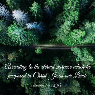 Picture 03 - Ephesians 3:11 KJV - According to the eternal purpose which he - Bible Verse Picture