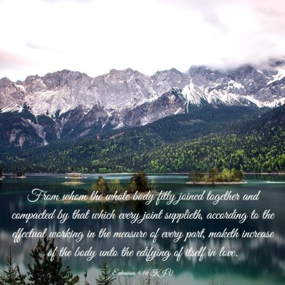 Picture 03 - Ephesians 4:16 KJV - From whom the whole body fitly joined together - Bible Verse Picture