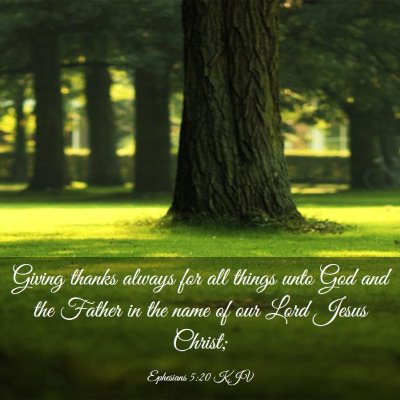 Picture 03 - Ephesians 5:20 KJV - Giving thanks always for all things unto God and - Bible Verse Picture