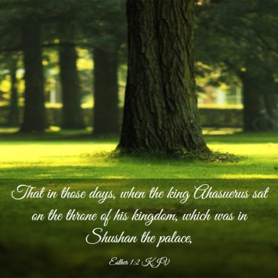Picture 03 - Esther 1:2 KJV - That in those days, when the king Ahasuerus sat - Bible Verse Picture