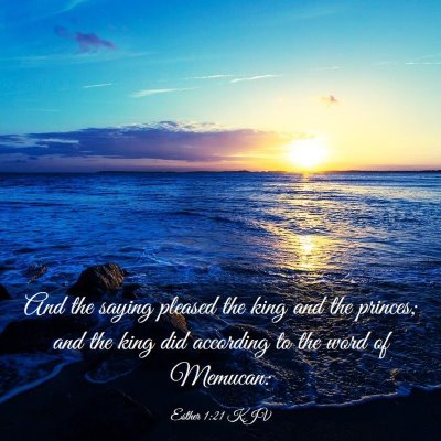 Picture 03 - Esther 1:21 KJV - And the saying pleased the king and the princes; - Bible Verse Picture