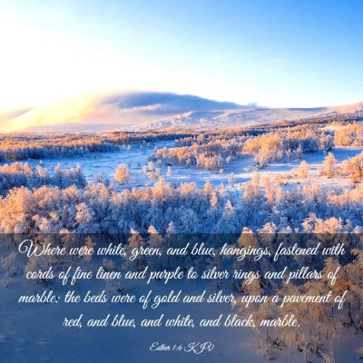 Picture 03 - Esther 1:6 KJV - Where were white, green, and blue, hangings, - Bible Verse Picture