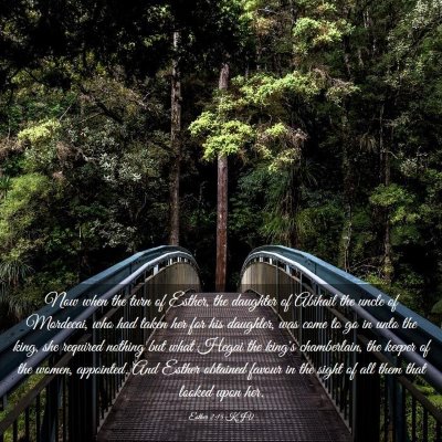 Picture 03 - Esther 2:15 KJV - Now when the turn of Esther, the daughter of - Bible Verse Picture