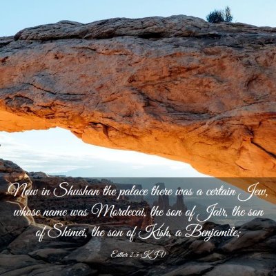 Picture 03 - Esther 2:5 KJV - Now in Shushan the palace there was a certain - Bible Verse Picture