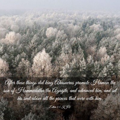 Picture 03 - Esther 3:1 KJV - After these things did king Ahasuerus promote - Bible Verse Picture