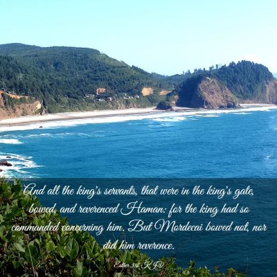 Picture 03 - Esther 3:2 KJV - And all the king's servants, that were in the - Bible Verse Picture