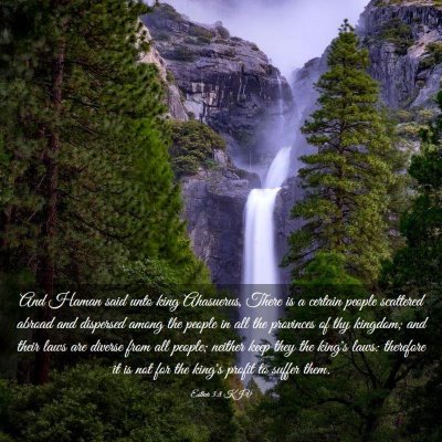 Picture 03 - Esther 3:8 KJV - And Haman said unto king Ahasuerus, There is a - Bible Verse Picture