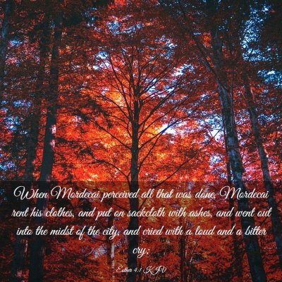 Picture 03 - Esther 4:1 KJV - When Mordecai perceived all that was done, - Bible Verse Picture