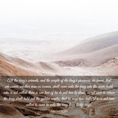 Picture 03 - Esther 4:11 KJV - All the king's servants, and the people of the - Bible Verse Picture