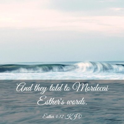 Picture 03 - Esther 4:12 KJV - And they told to Mordecai Esther's - Bible Verse Picture