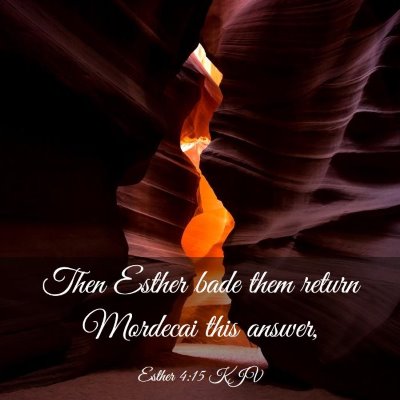 Picture 03 - Esther 4:15 KJV - Then Esther bade them return Mordecai this - Bible Verse Picture