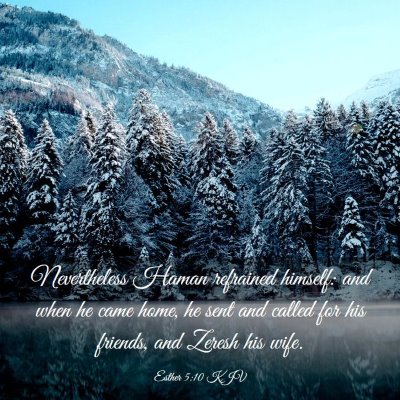 Picture 03 - Esther 5:10 KJV - Nevertheless Haman refrained himself: and when he - Bible Verse Picture