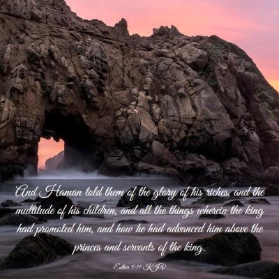 Picture 03 - Esther 5:11 KJV - And Haman told them of the glory of his riches, - Bible Verse Picture