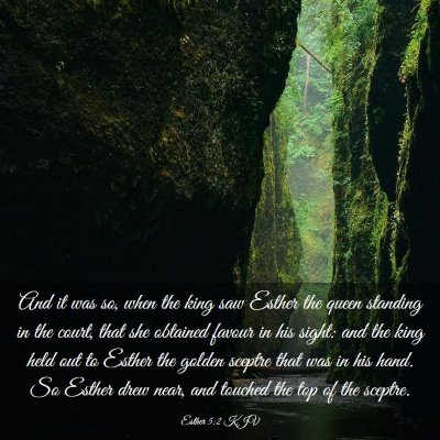Picture 03 - Esther 5:2 KJV - And it was so, when the king saw Esther the queen - Bible Verse Picture