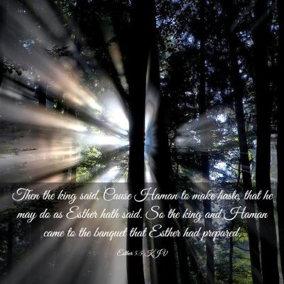 Picture 03 - Esther 5:5 KJV - Then the king said, Cause Haman to make haste, - Bible Verse Picture