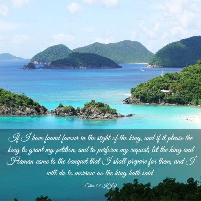 Picture 03 - Esther 5:8 KJV - If I have found favour in the sight of the king, - Bible Verse Picture