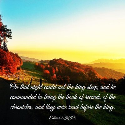 Picture 03 - Esther 6:1 KJV - On that night could not the king sleep, and he - Bible Verse Picture