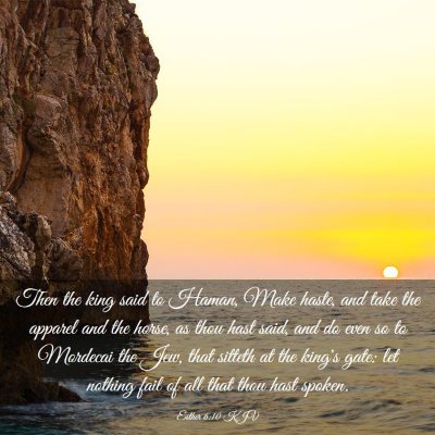 Picture 03 - Esther 6:10 KJV - Then the king said to Haman, Make haste, and take - Bible Verse Picture