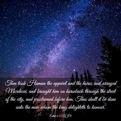 Picture 03 - Esther 6:11 KJV - Then took Haman the apparel and the horse, and - Bible Verse Picture