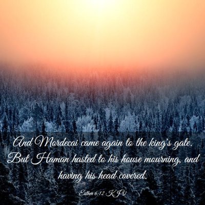 Picture 03 - Esther 6:12 KJV - And Mordecai came again to the king's gate. But - Bible Verse Picture