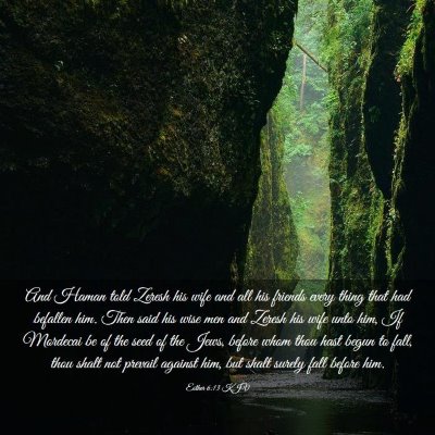 Picture 03 - Esther 6:13 KJV - And Haman told Zeresh his wife and all his - Bible Verse Picture