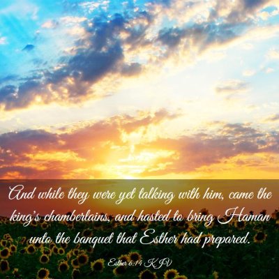 Picture 03 - Esther 6:14 KJV - And while they were yet talking with him, came - Bible Verse Picture
