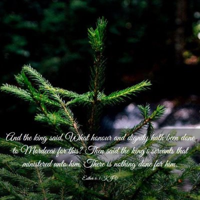 Picture 03 - Esther 6:3 KJV - And the king said, What honour and dignity hath - Bible Verse Picture