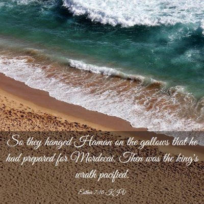 Picture 03 - Esther 7:10 KJV - So they hanged Haman on the gallows that he had - Bible Verse Picture